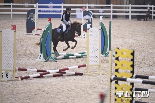 我觉得马术, https, msn 我觉得马术, https, msn