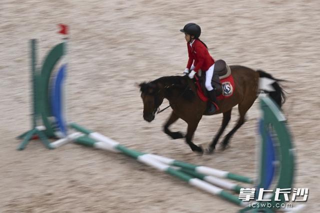 为所有参赛, 尤其是骑马, 成起跳 为所有参赛, 尤其是骑马, 成起跳