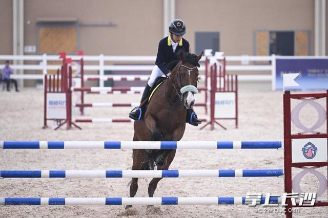 收官, https 收官, https